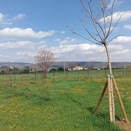 Agricampeggio Oro Verde Vérone Extérieur photo