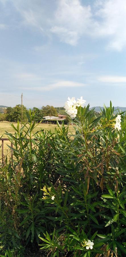 Agricampeggio Oro Verde Vérone Extérieur photo